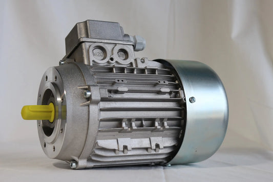 motori elettrici elettropompe 
